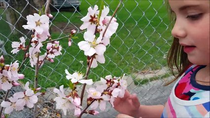 Kid Temper Tantrum Breaks Sisters Birdhouse [ Original ] 16K Subscribers Special