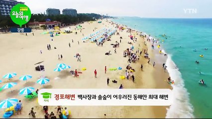 청정한 녹색도시 강원도 '강릉' / YTN (Yes! Top News)