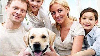 Quality Veterinary Care in Wellington