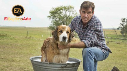 Tu mejor amigo - Tráiler español (HD)