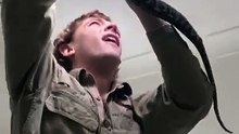 Un serpent s'incruste dans une lucarne