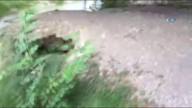 Mudurnu Deresi'ne Atılan Atıklar Dereyi Siyaha Bürüdü