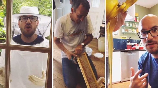 Kyan Khojandi, Élie Semoun et Bérengère Krief récoltent du miel