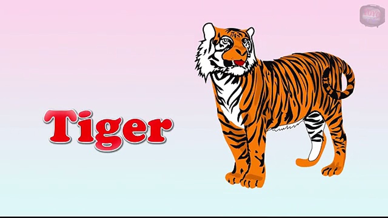 Vocabulary _ Wild Animals Vocabulary _ English vocabulary