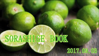 SORASHIGE BOOK#20170903