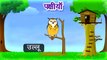 Learn Types of Birds | Animated Video For Kids | English Animation Video For Children