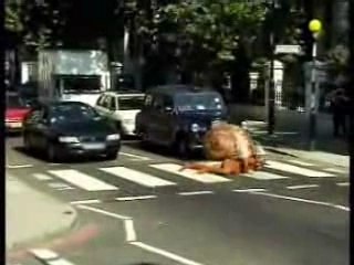 Snail Crossing - Trigger Happy Tv