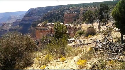 Great Wonder of the World/Back Trail/Grand Canyon