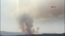 Bolu'daki Orman Yangını Söndürüldüek- Yangın Yeniden Başladı
