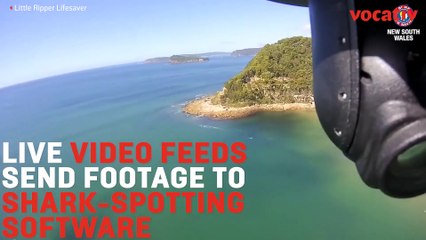 Shark Drones Dispatched To Track Sharks In Australia