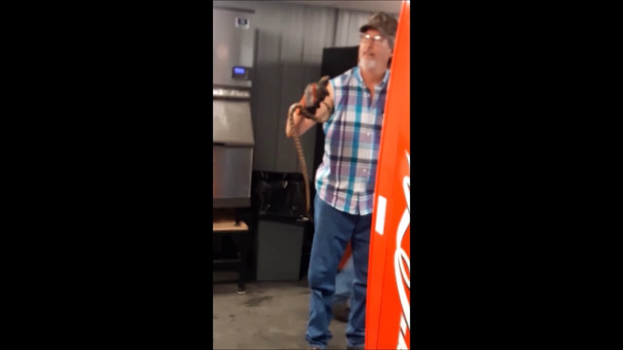 Un serpent dans un distributeur de canettes. Flippant !