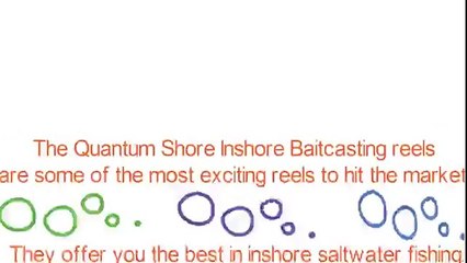 Quantum Smoke Inshore Baitcaster