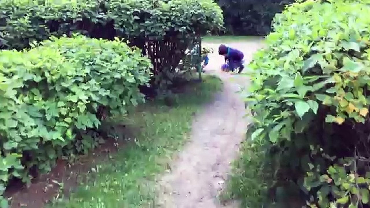 Vida de mascotas secreto el juguetes ★ animales de juguete divertido Vida secreta de compañía procedentes