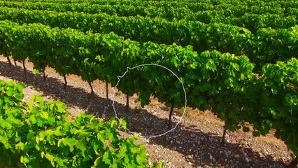 Amazing Life ~~ Summer Best Mix #3 | Incroyable musique de la Tropicale vie