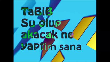 TaBiB Su olup akacak ne yaptım sana