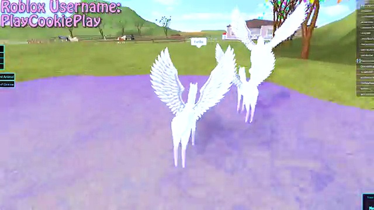 Baby Pegasus Foal Friends Horse Heart Lets Play Online Roblox