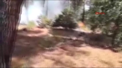 Bolu'daki Orman Yangını Söndürüldü