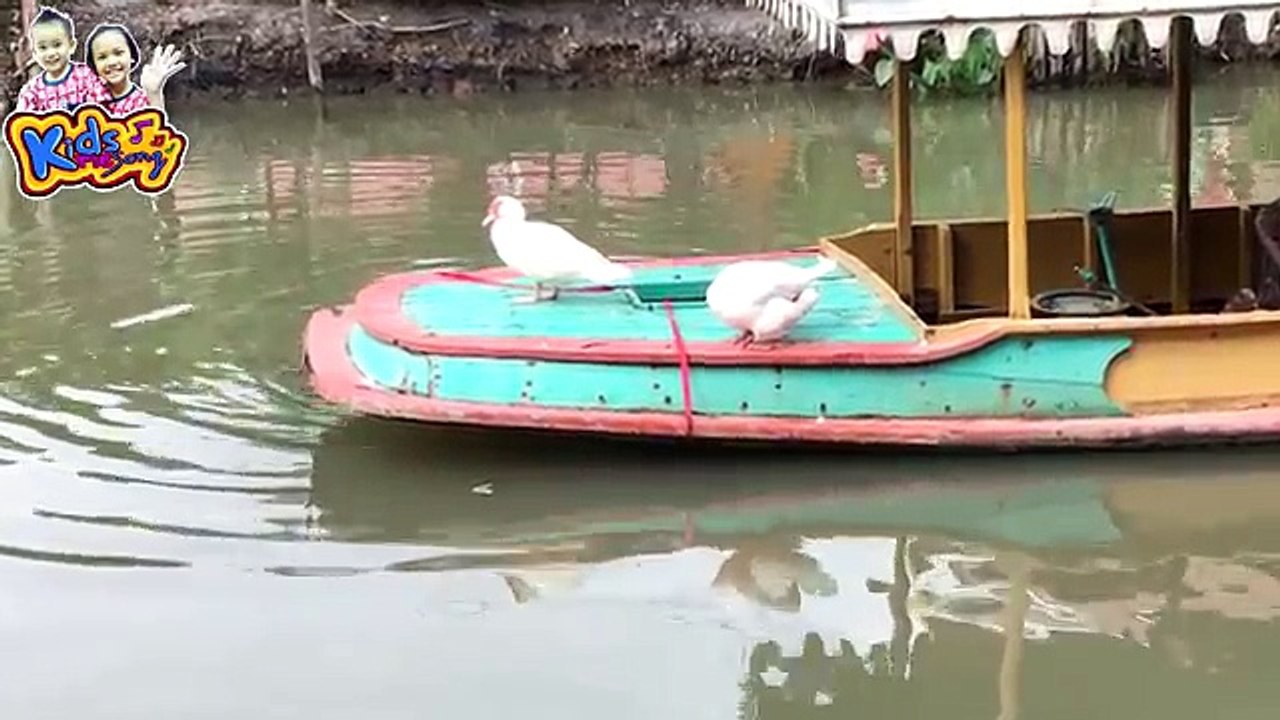Canard chanson thaïlandais ♫ Musique bain bébé canard de bain de canard ♫ ♫ Écoutez la chanson dit à un enfant raconte raconte ♫.