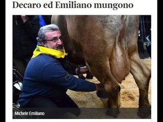 TG 06.02.15 Un giorno da allevatori, Decaro ed Emiliano a lezione di mungitura