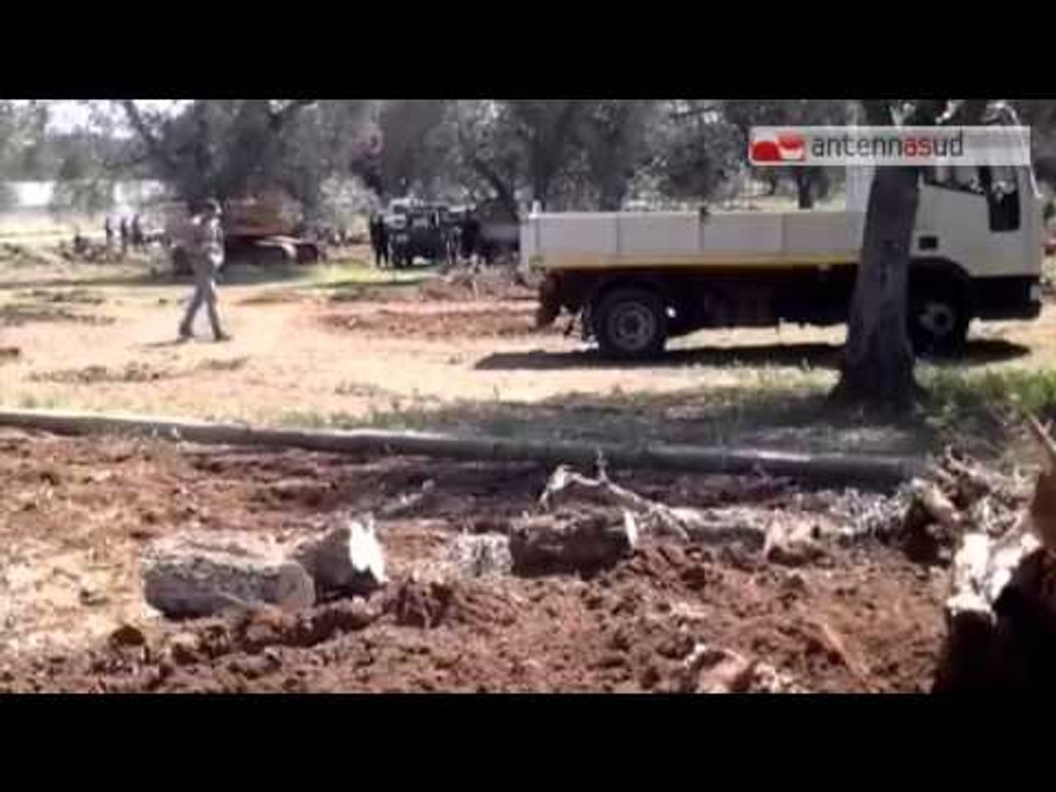 TG 24.02.15 Xylella, 3mila in piazza a Lecce in difesa degli ulivi salentini