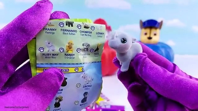 Paw Patrol Go Trick or Treat for Candy Halloween Pumpkin Costume DIY and Shopkins Surprise