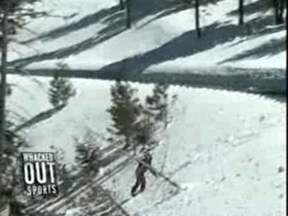 Snow board