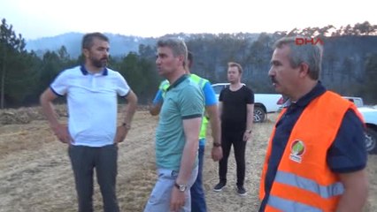 Bolu'daki Orman Yangını Söndürüldü