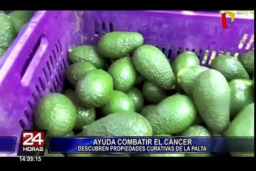 Conozca los beneficios de comer palta