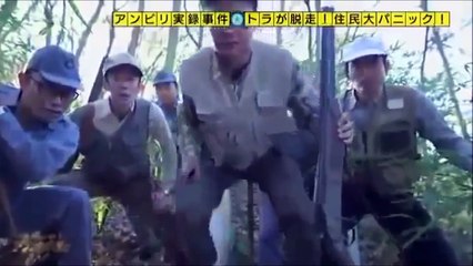 奇跡体験!アンビリバボー トラが脱走！住民大パニック 果たして結末は！