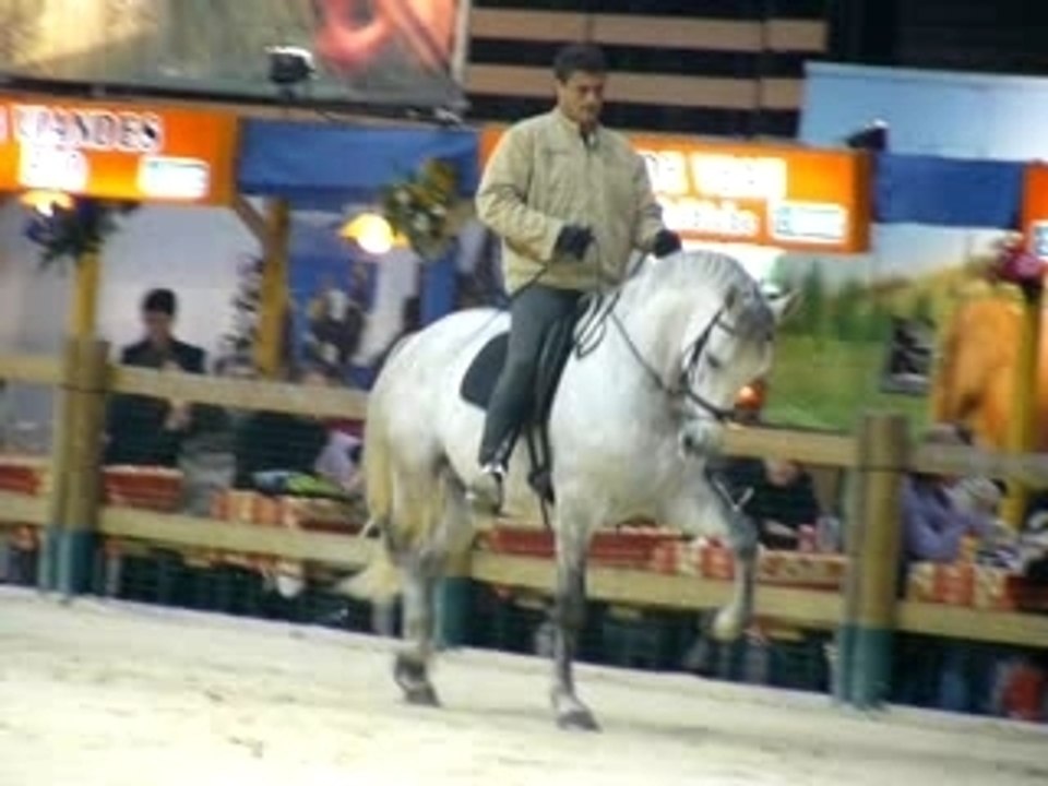 Equita'Lyon 2007