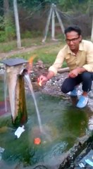 unbeliveable water and fire video watch it science