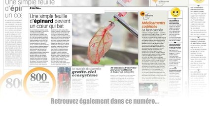 Découvrez quelques pages de Science & Vie Questions/Réponses : Le guide du vin