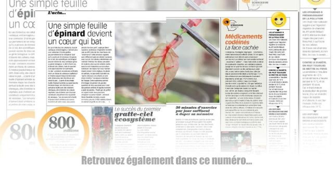 Découvrez quelques pages de Science & Vie Questions/Réponses : Le guide du vin