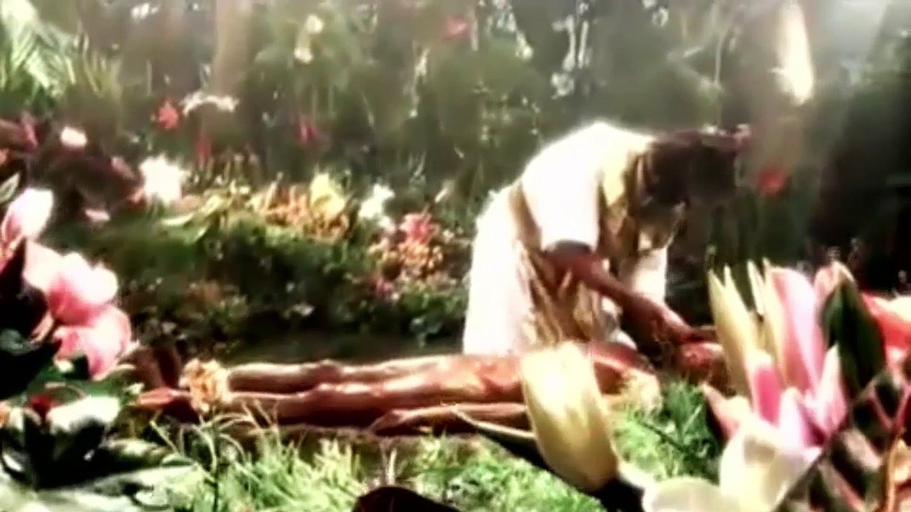 Como Deus Criou o Homem - Veja que Incrível !