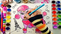 Poodle Puppy Coloring Page - Draw Cute Animals Dog for Kids to Learn How to Color - colori