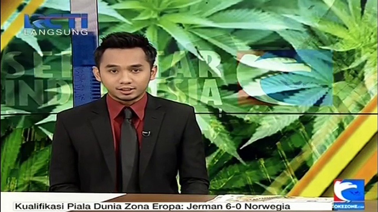 Petugas Temukan Ganja Setinggi 1 Meter yang Ditanam di Sebuah Rumah
