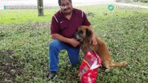 Anjing terlihat membawa kantung makanan setelah badai Harvey - TomoNews