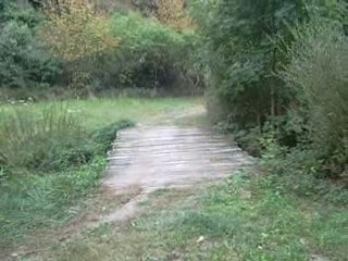 buggy cross 05