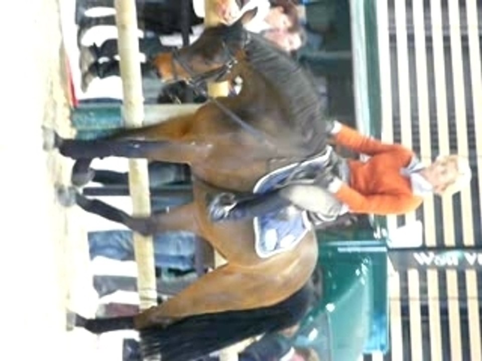 Equita'Lyon 2007