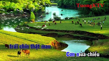 [Karaoke] Hành Trình Trên Đất Phù Sa - Nhạc Sống