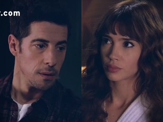 Virginia y Javo - Capítulo 71 - Las Estrellas