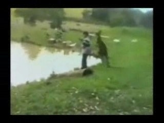 Kangourou attaque Homme