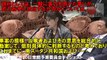 稲田大臣の勝ち！民進党が、刺さったブーメランを抜こうとして、さらに深く刺すｗｗ。2017年2月20日衆院予算委員会。