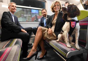 Les chiens renifleurs, nouveaux agents de la SNCF