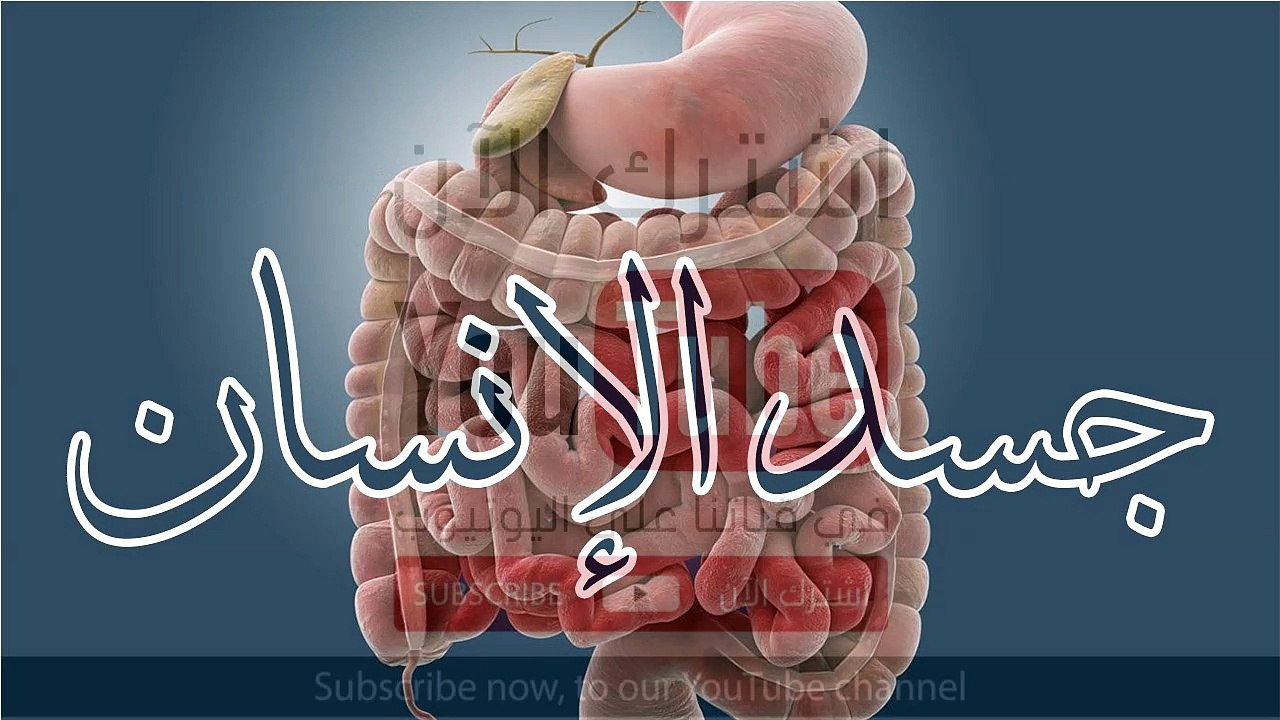 بالفيديو__ 20 معلومة شيقة لا تعرفها عن جسم الإنسان