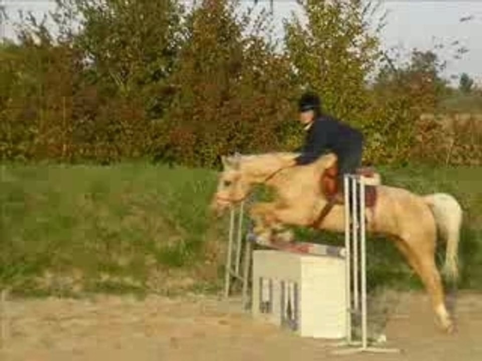 Jumbouille et le CSo