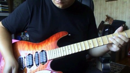 Custom Made SUHR Guitar - The Top Guitars Company