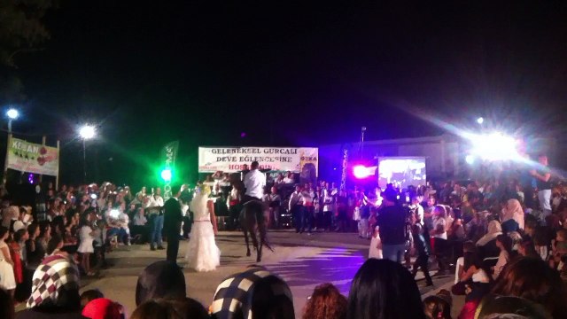 gurcali-deve-eglencesi-0409-2017