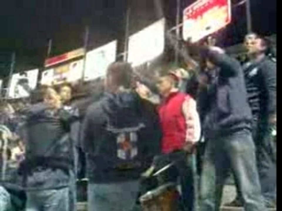 bo49 angers sco chants