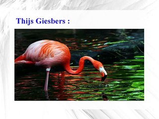 Cruise Carroll -Photography of Natural Animals